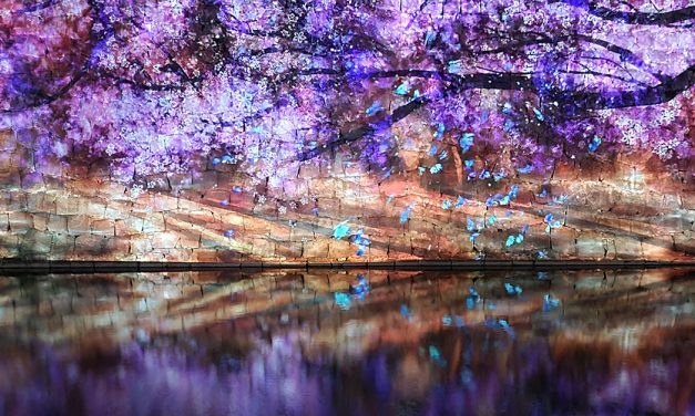 Kyoto, Nijo Castle, illumination – Naked Flower 2021