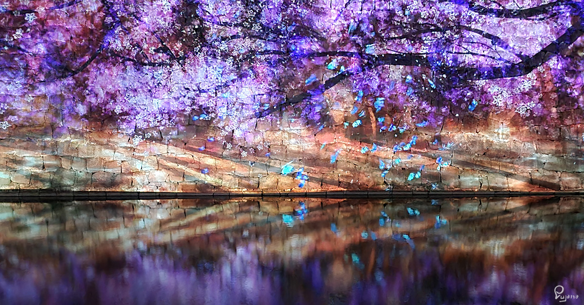 Kyoto, Nijo Castle, illumination – Naked Flower 2021