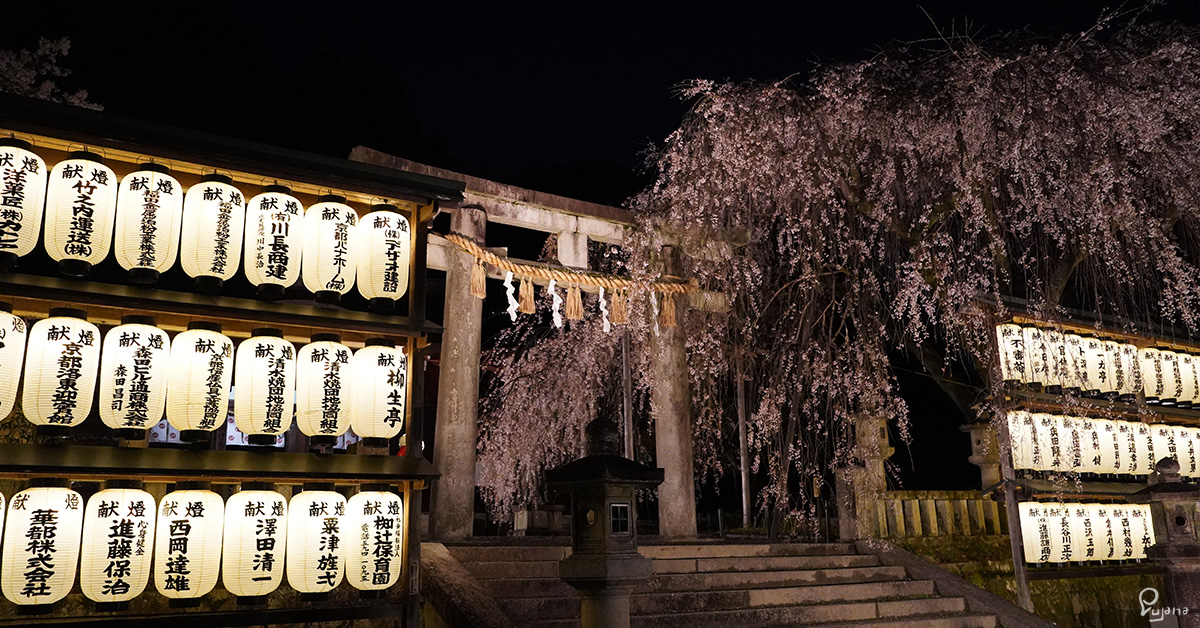 Kyoto, Yamashina Ward & Oishi Shrine, Sakura 2021