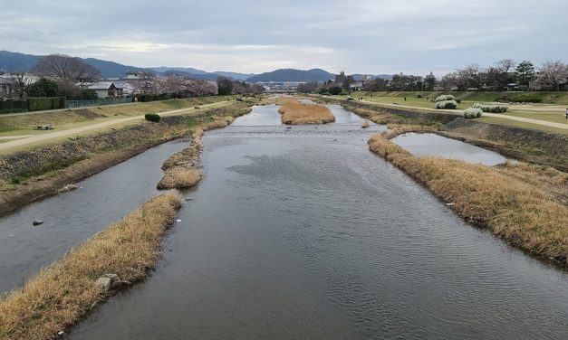 Kyoto, Kamo River