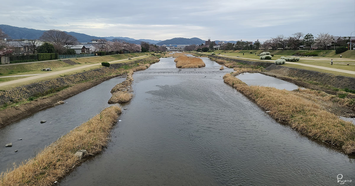 Kyoto, Kamo River