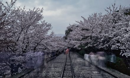 Kyoto, Keage Incline, Sakura 2021