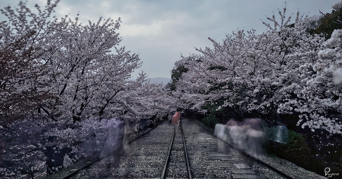 Kyoto, Keage Incline, Sakura 2021