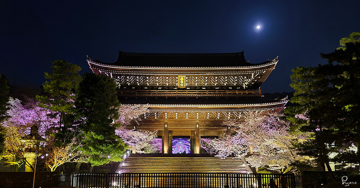 Kyoto, Chion-in, Sakura 2021