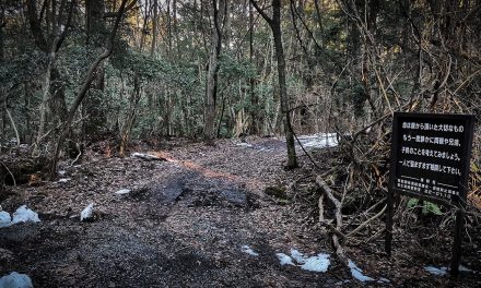 Kyoto to Nagano, Part 6: Yamanashi, Fuji Caves & Aokigahara (Suicide Forest)