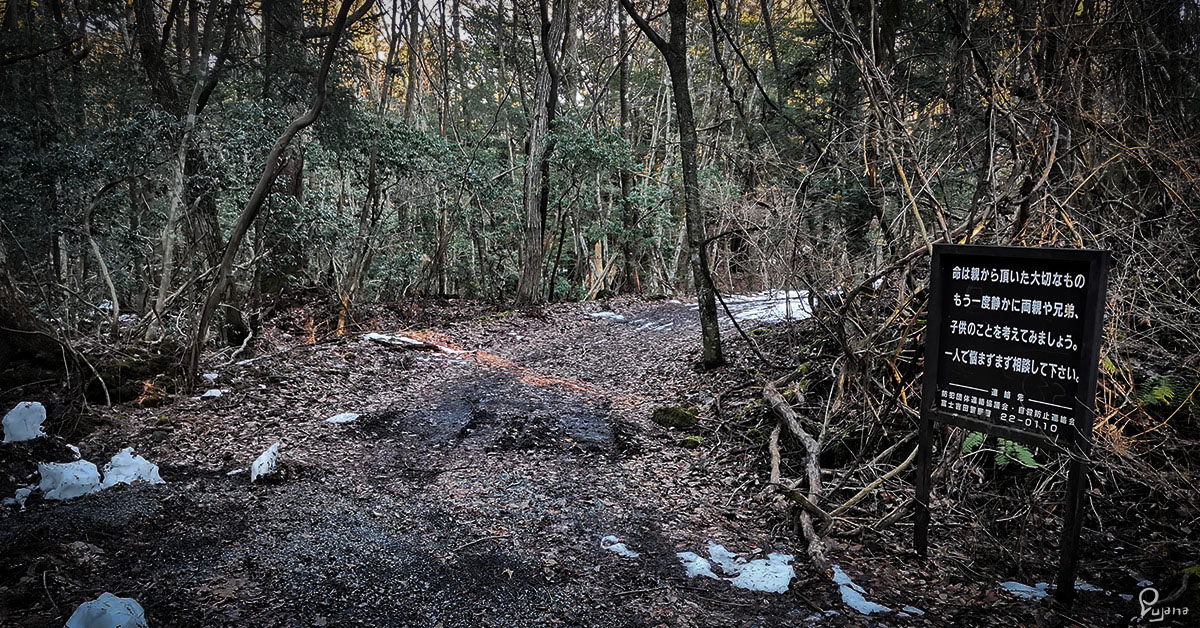 Kyoto to Nagano, Part 6: Yamanashi, Fuji Caves & Aokigahara (Suicide Forest)