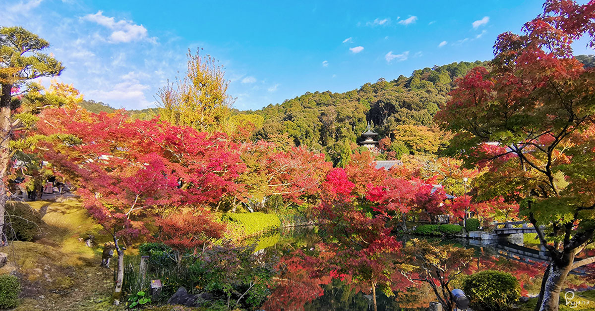 Kyoto, Eikan-do Zenrin-ji Temple (永観堂禅林寺) in Autumn