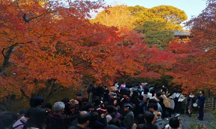 Kyoto, Tofukuji Temple (東福寺) in Autumn