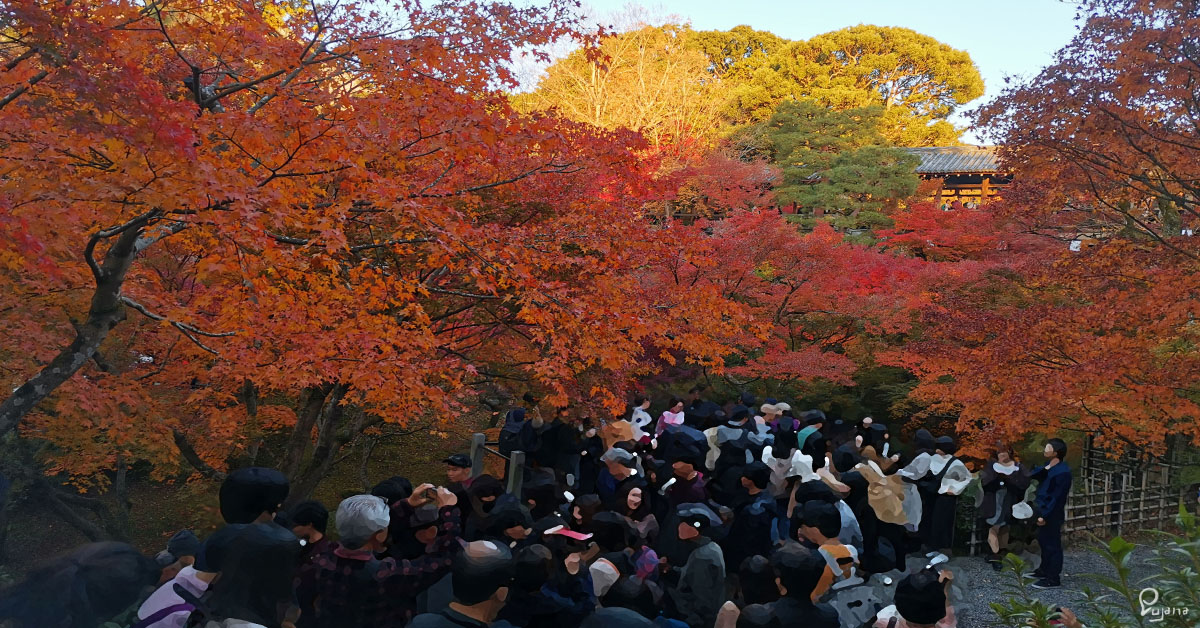 Kyoto, Tofukuji Temple (東福寺) in Autumn