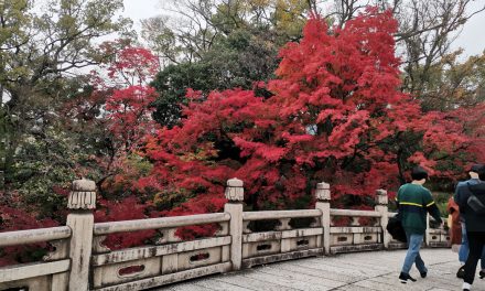 Kyoto, Otani Hombyo (大谷本廟) / Nishi Otani (西大谷) in Autumn