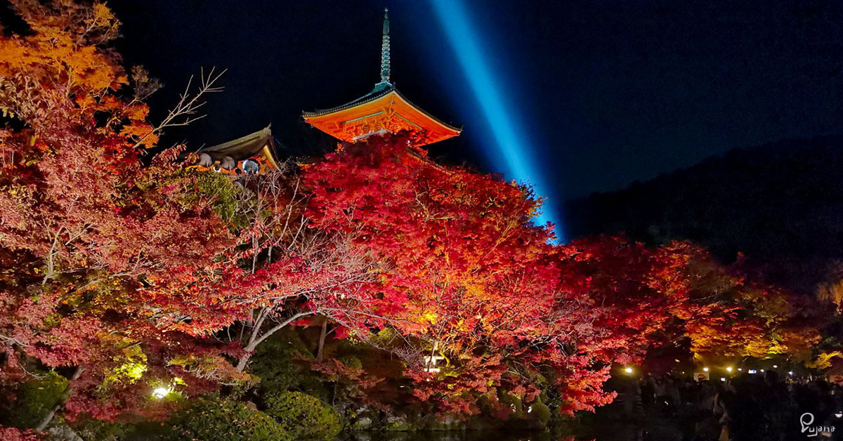 Kyoto, Kiyomizu-dera (清水寺) Lightup in Autumn 2019